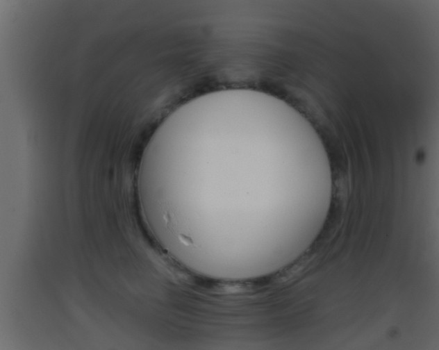 X0000093380662200710111348