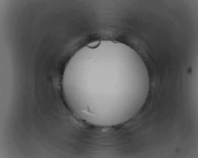 X0000093380663200710111348