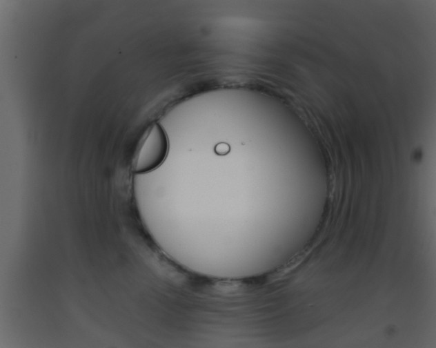 X0000093380666200710111348