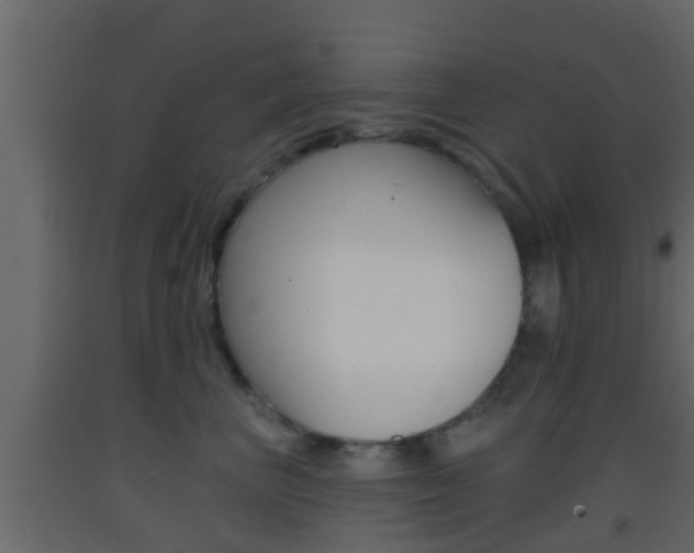 X0000093380667200710111348