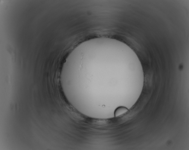 X0000093380671200710111348