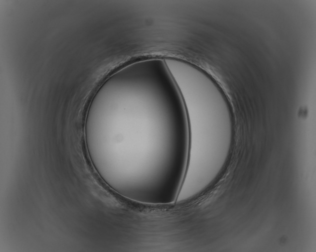 X0000093380673200710111348