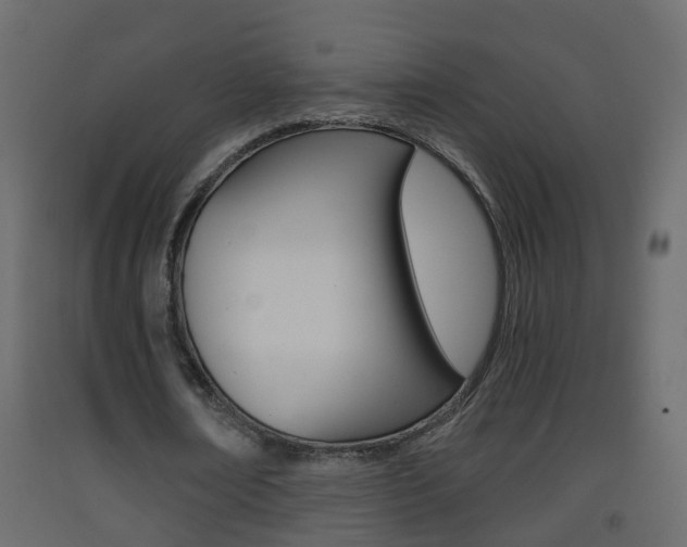 X0000093380674200710111348
