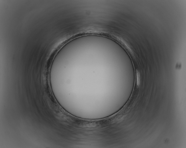 X0000093380675200710111348