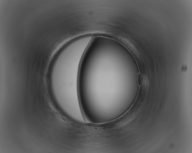 X0000093380676200710111348