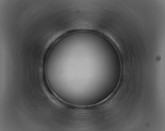 X0000093380677200710111348