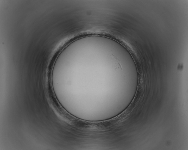 X0000093380678200710111348