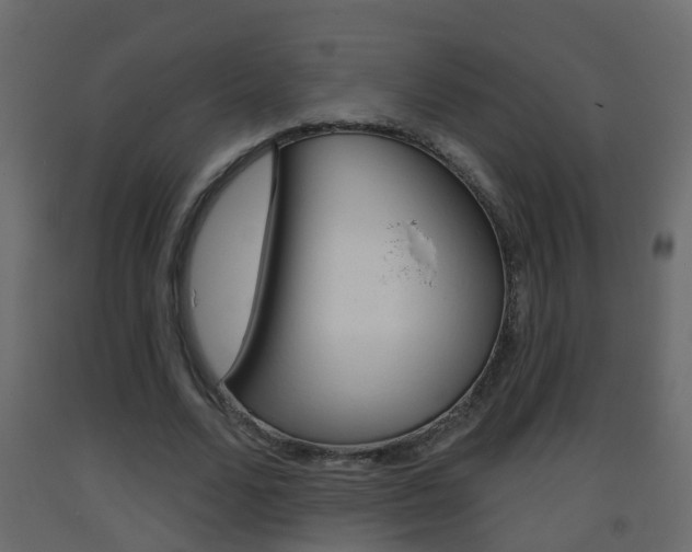 X0000093380680200710111348