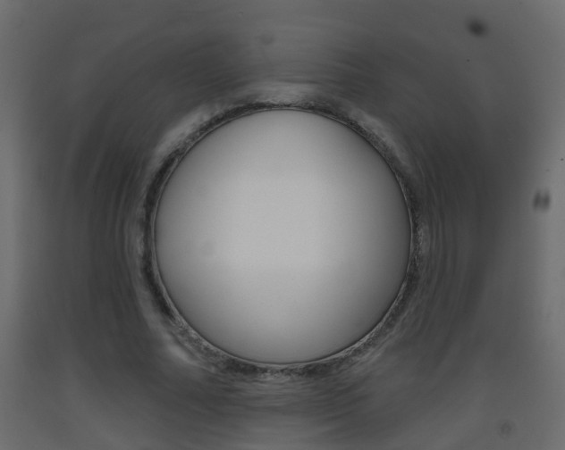 X0000093380682200710111348