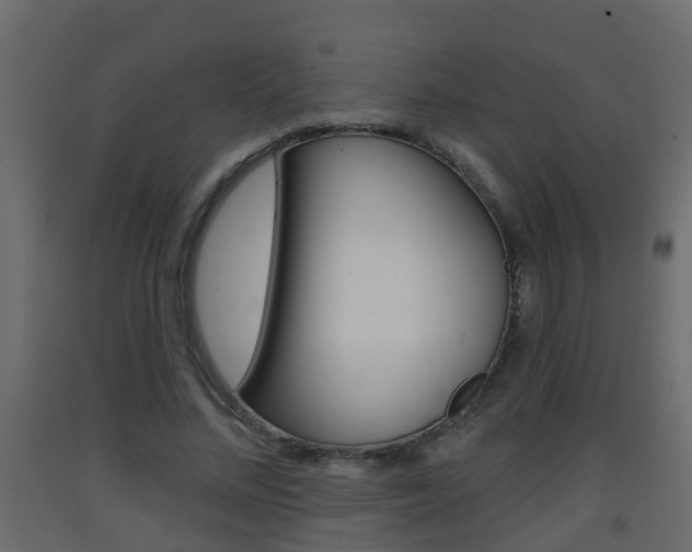 X0000093380684200710111348