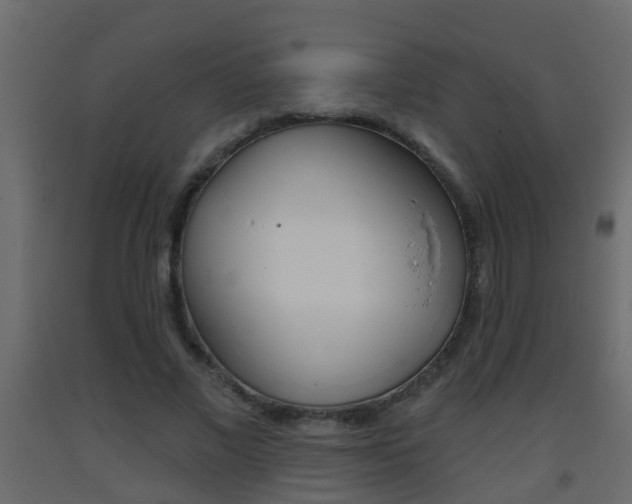 X0000093380685200710111348