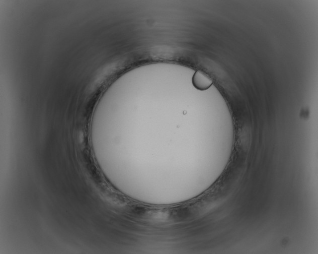 X0000093380687200710111348