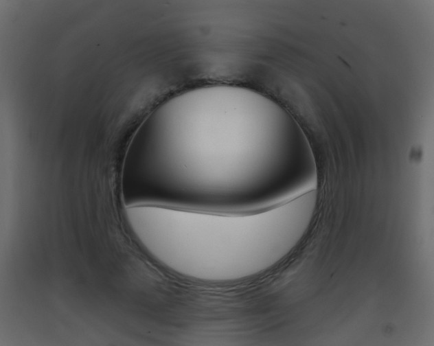 X0000093380689200710111348
