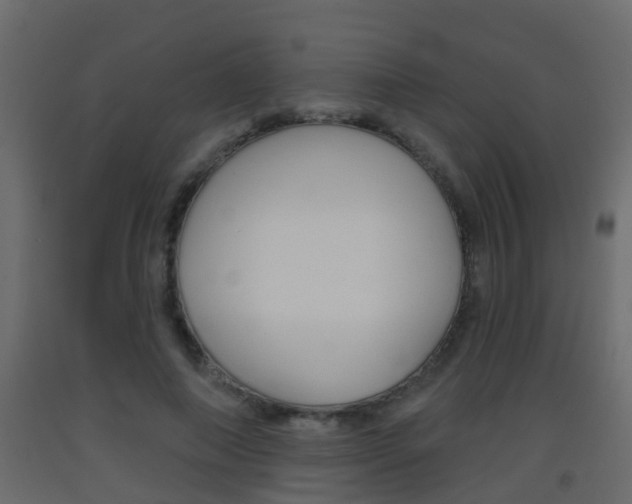 X0000093380690200710111348