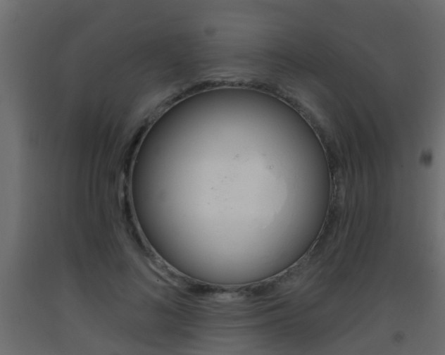 X0000093380692200710111348