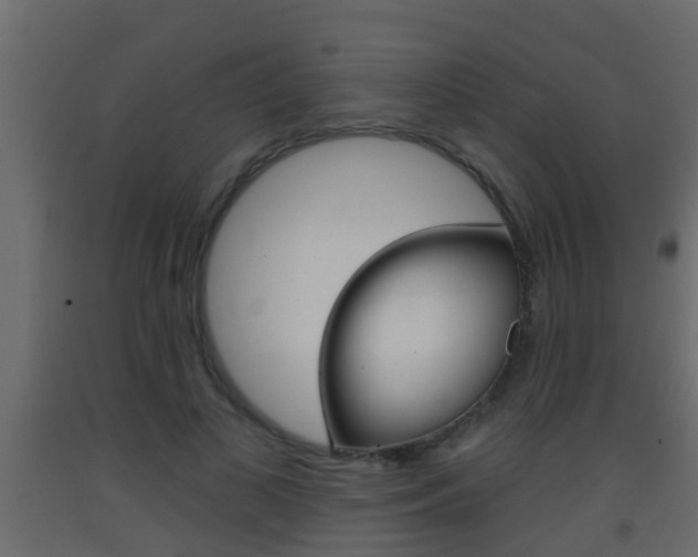X0000093380693200710111348
