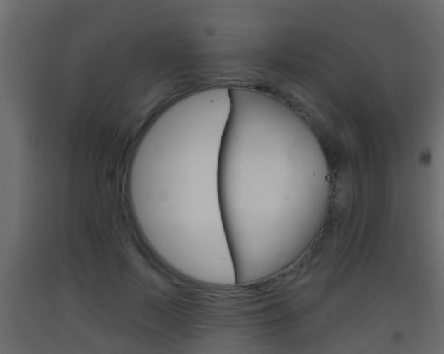 X0000093380695200710111348