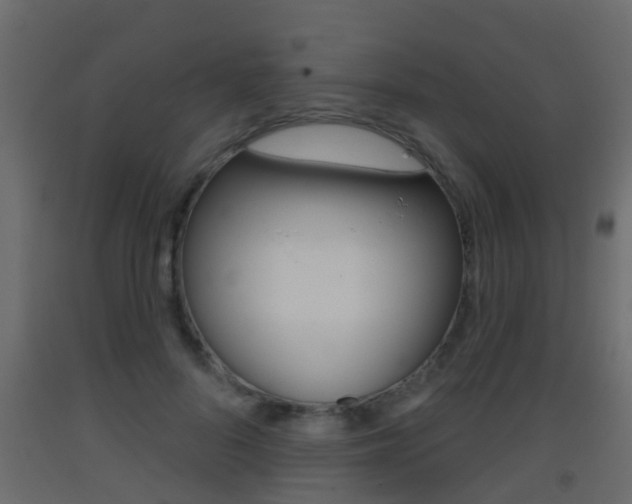 X0000093380696200710111348
