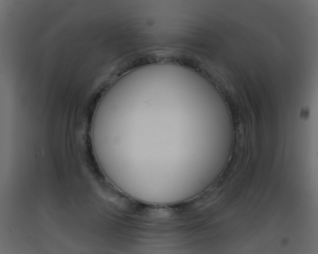 X0000093380698200710111347