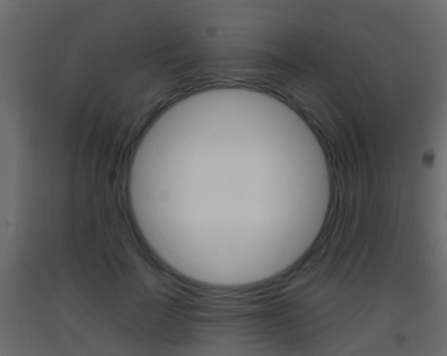 X0000093380699200710111347