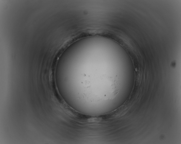 X0000093380700200710111347
