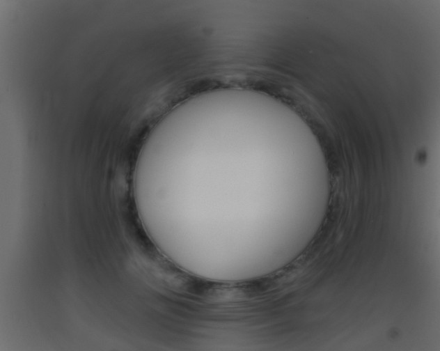 X0000093380702200710111347