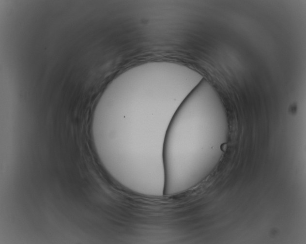 X0000093380703200710111347