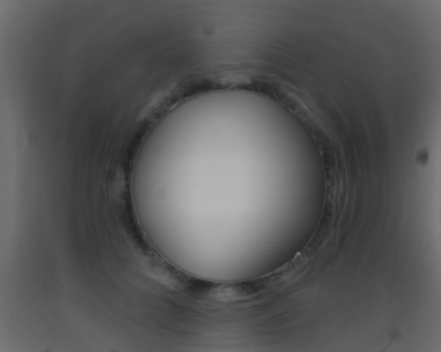 X0000093380704200710111347