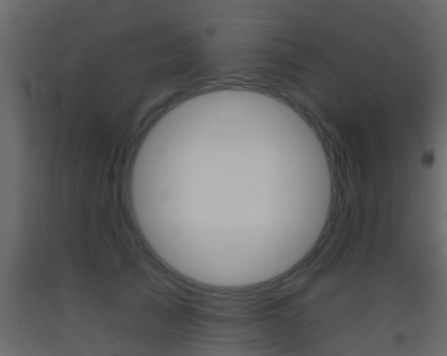 X0000093380705200710111347
