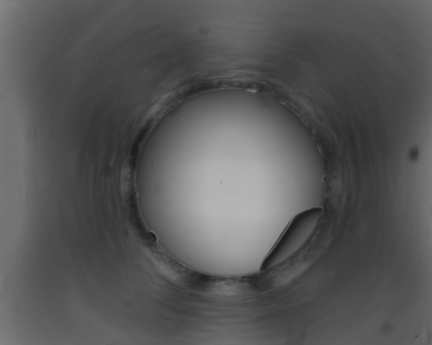 X0000093380708200710111347