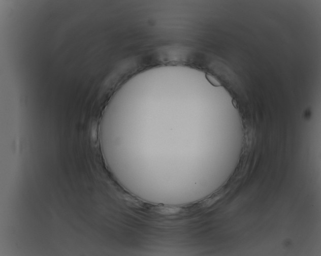 X0000093380709200710111347