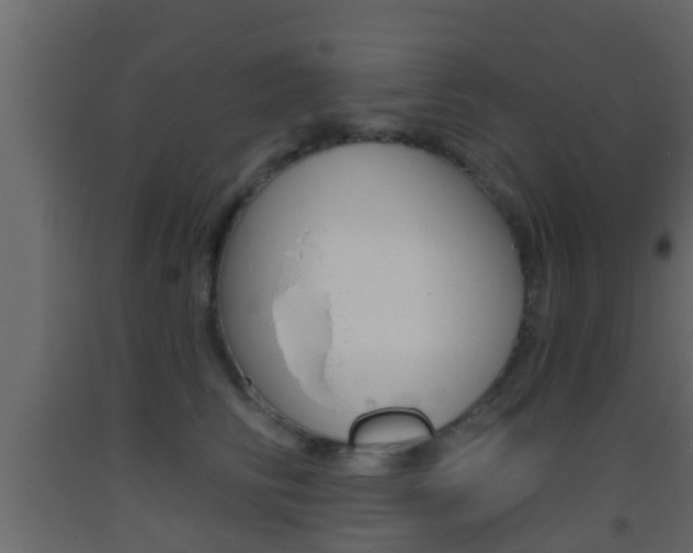 X0000093380710200710111347