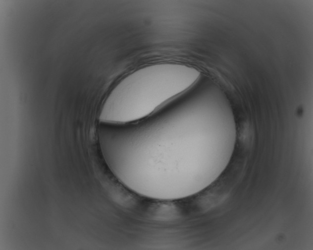 X0000093380715200710111347