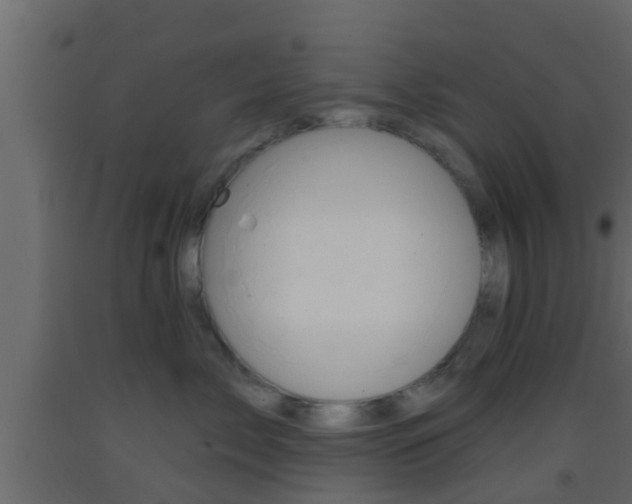 X0000093380717200710111347