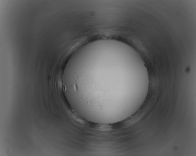 X0000093380719200710111347
