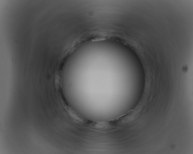 X0000093380720200710111347