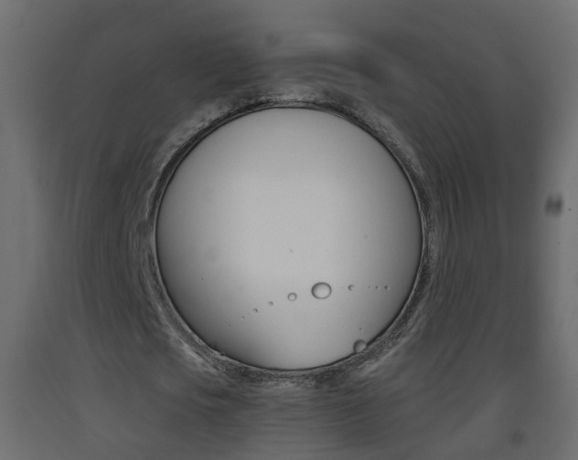 X0000093380721200710111347