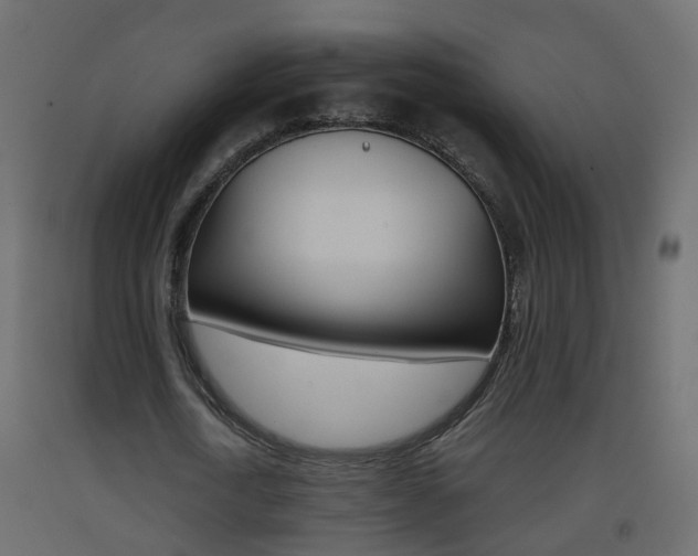 X0000093380722200710111347