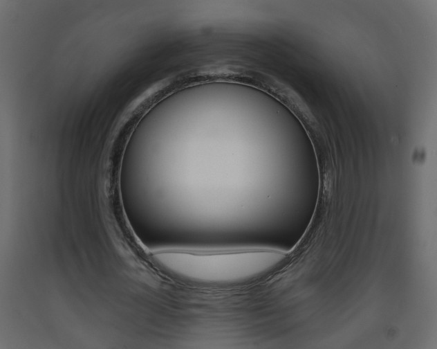 X0000093380724200710111347