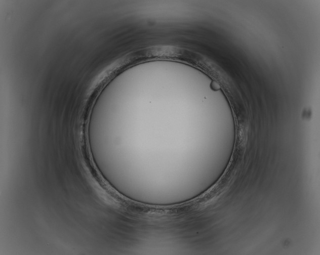 X0000093380725200710111347
