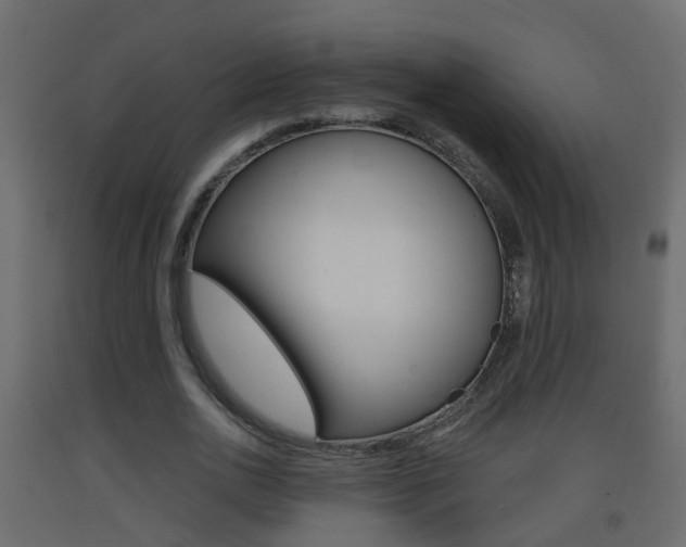 X0000093380726200710111347