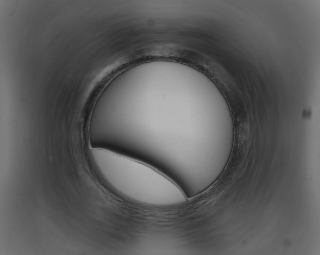 X0000093380727200710111347