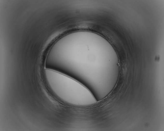 X0000093380728200710111347
