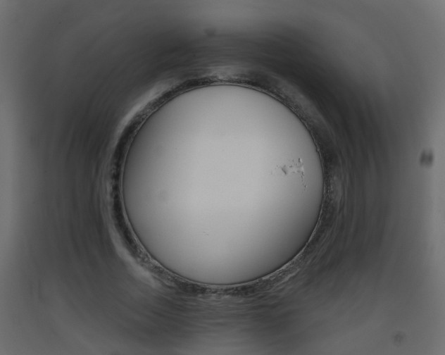X0000093380730200710111347