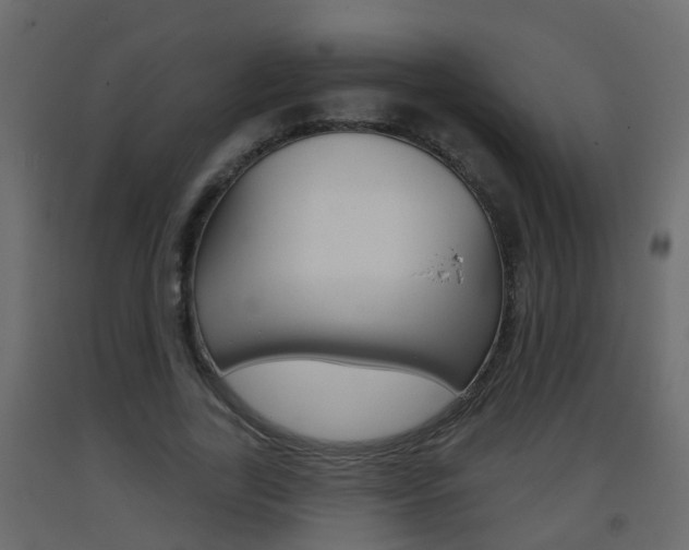 X0000093380731200710111347