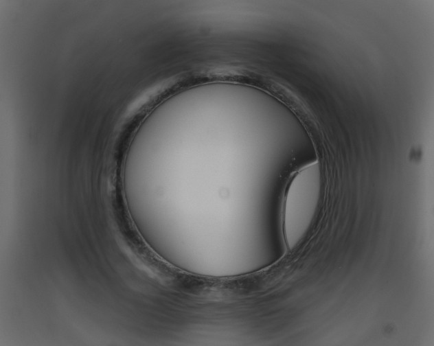 X0000093380732200710111347