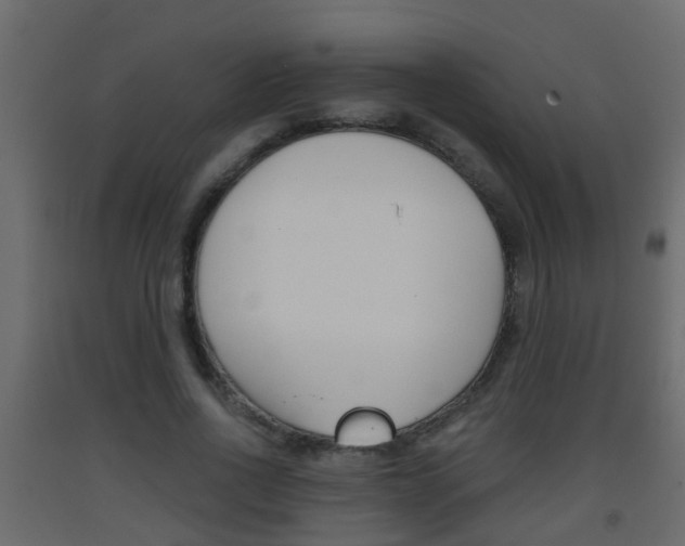 X0000093380734200710111347