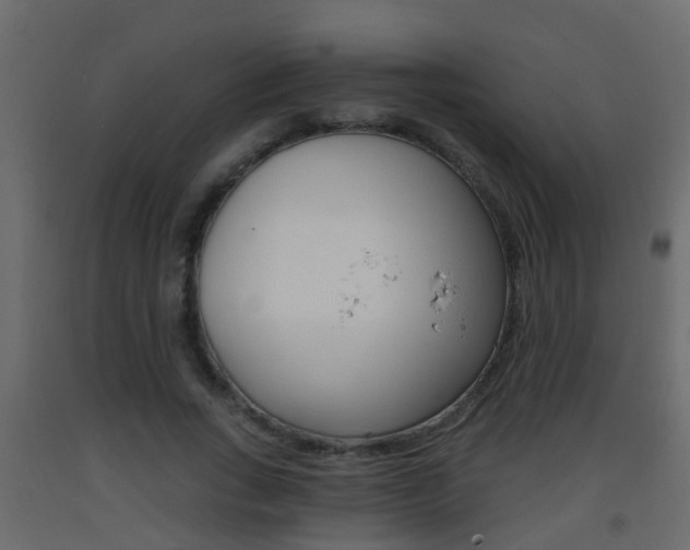 X0000093380735200710111347