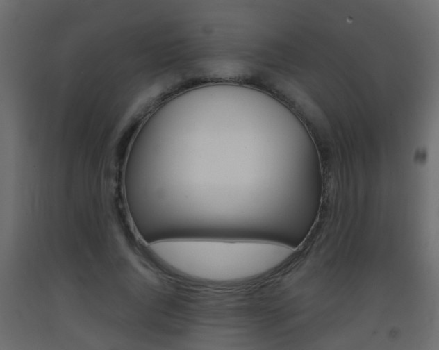 X0000093380736200710111347