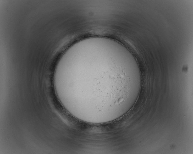 X0000093380738200710111347